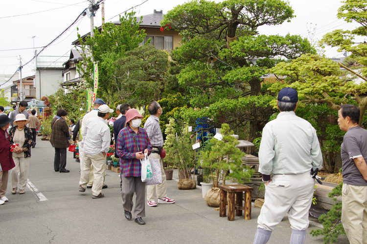 薬師祭植木市 29 5